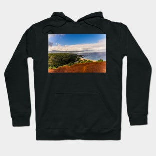 Seascapes of  Honolulu Hoodie